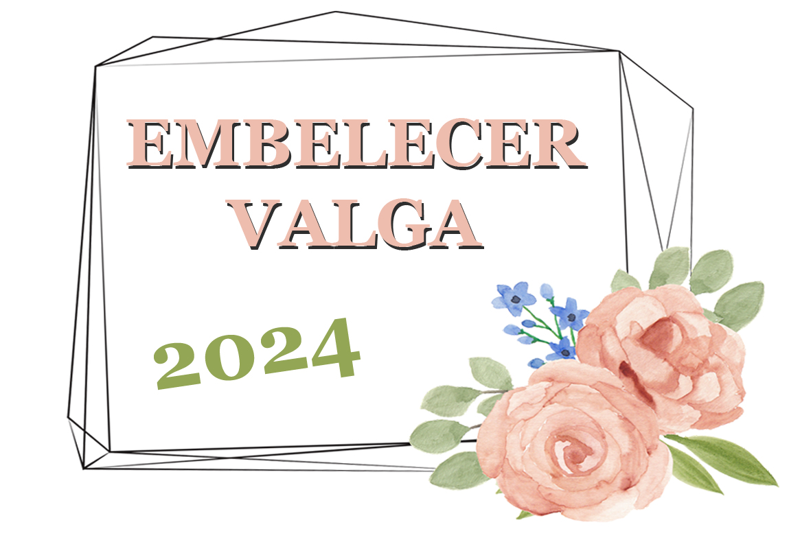 EmbelecerValgaWeb