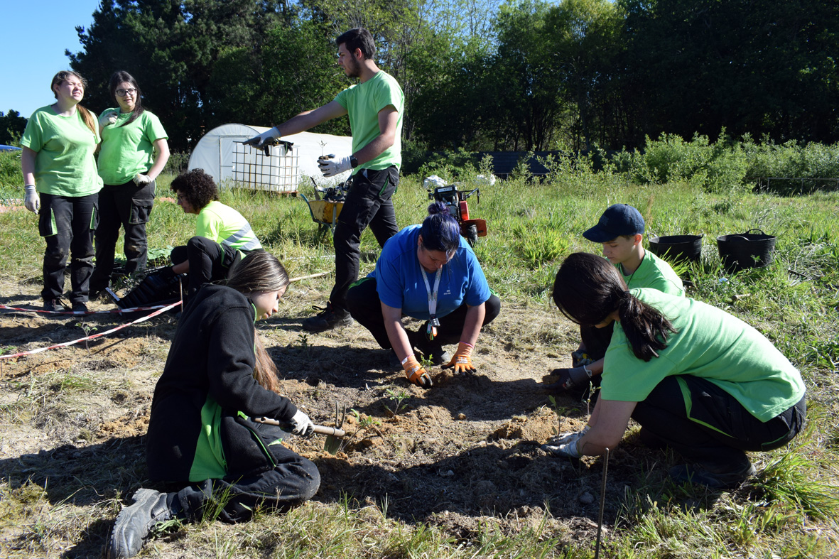 PlantaciónEstudoCompost24 2