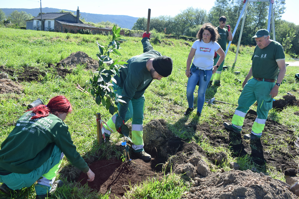 PlantaciónMinaMercedes1