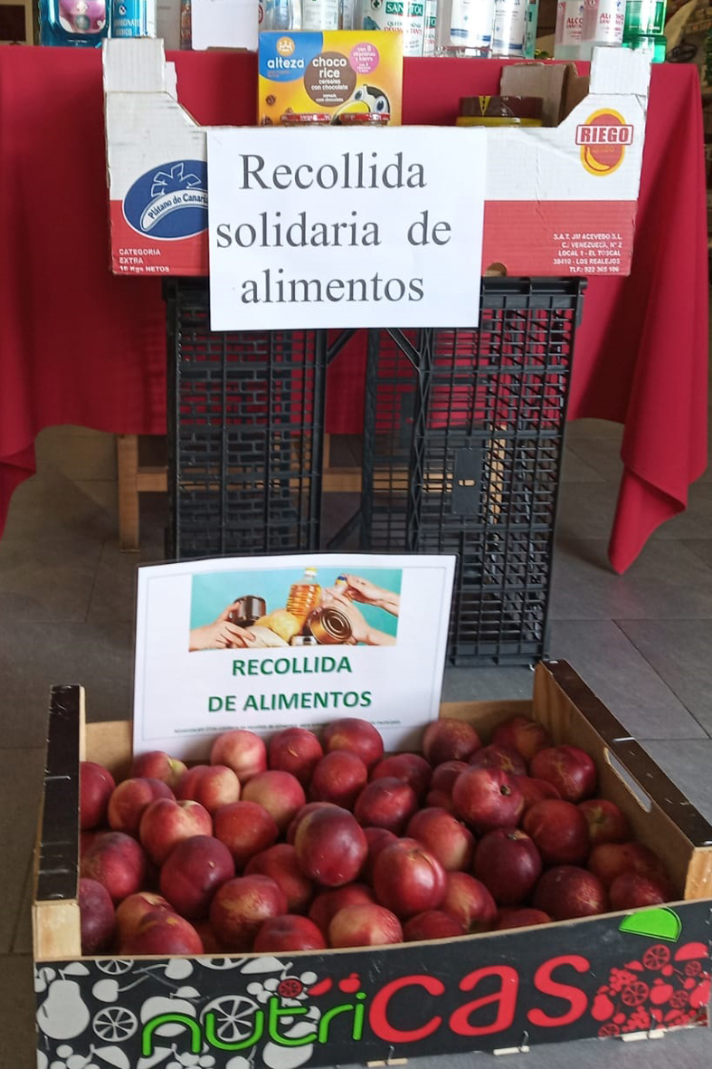 alimentos eiras2