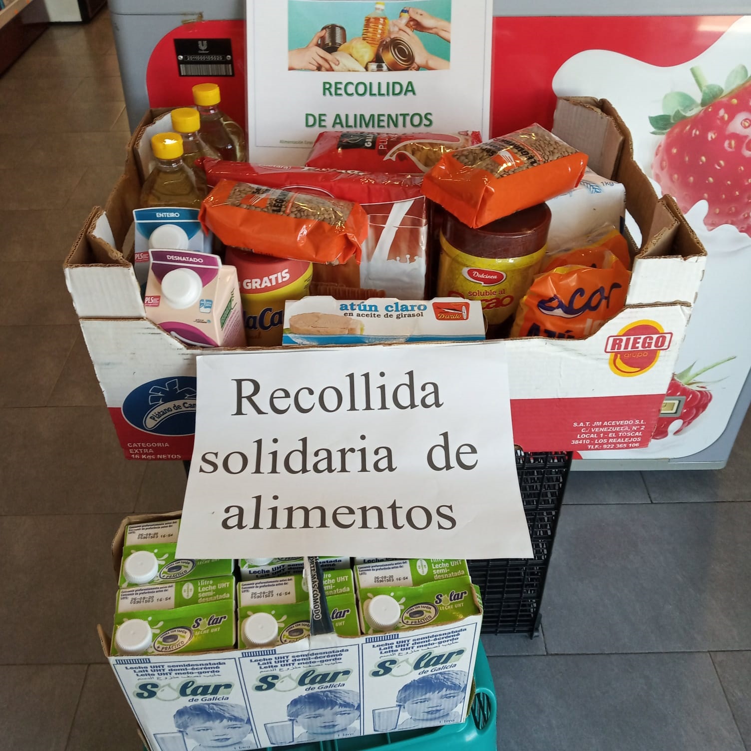 alimentos eiras3