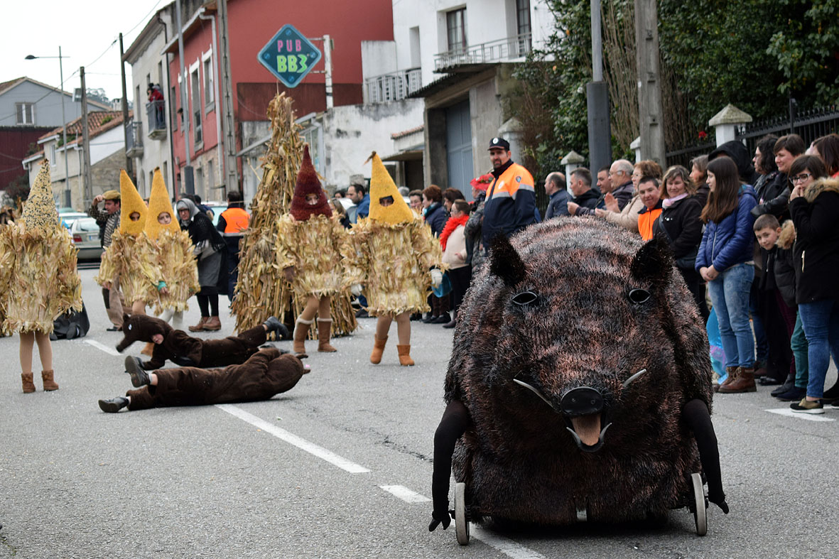 O xabarín e os millos trouleiros 1º comparsa adulto