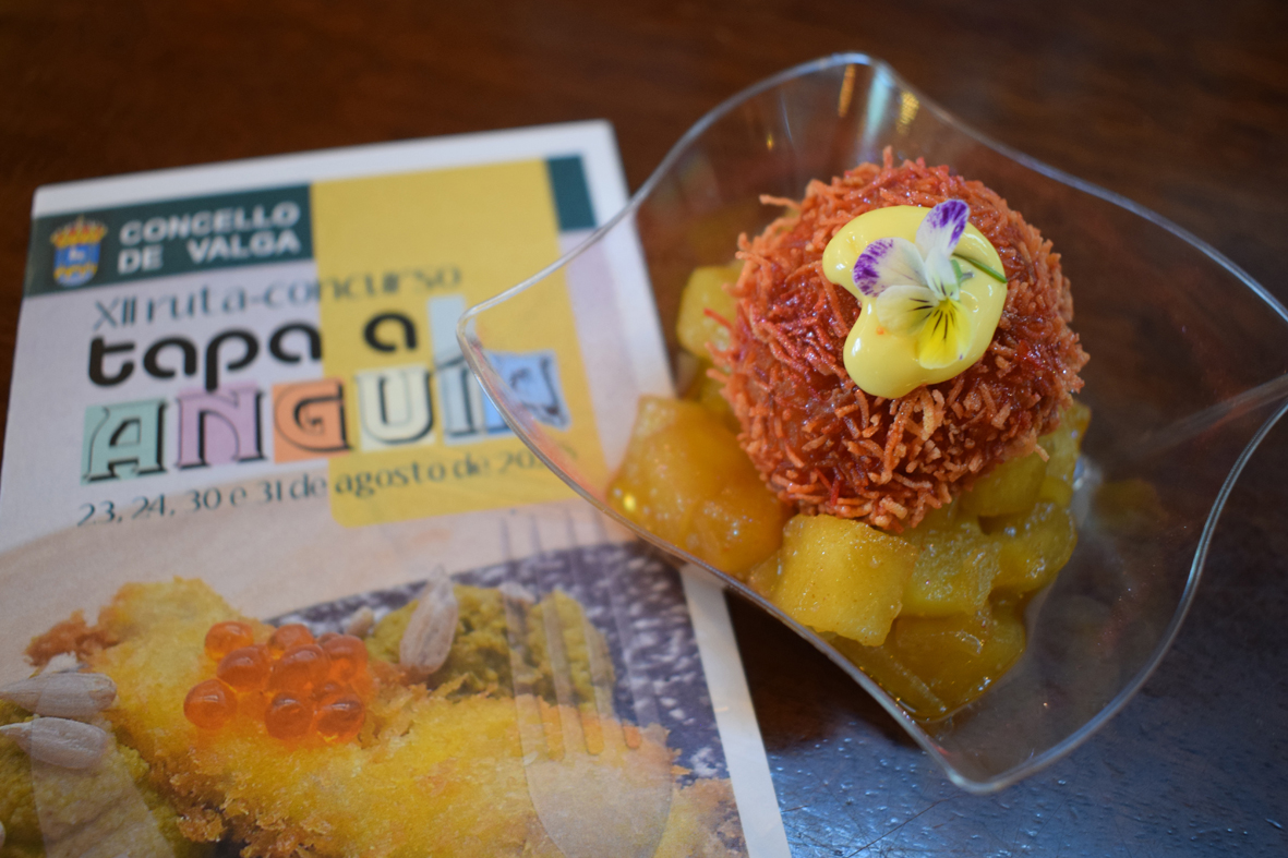 Tapa Gañadora2025
